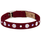 1/2" Small Daisies Collars - Rocky & Maggie's Pet Boutique and Salon