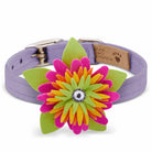 Island Flower Collar - Rocky & Maggie's Pet Boutique and Salon