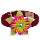 Island Flower Collar - Rocky & Maggie's Pet Boutique and Salon