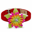 Island Flower Collar - Rocky & Maggie's Pet Boutique and Salon