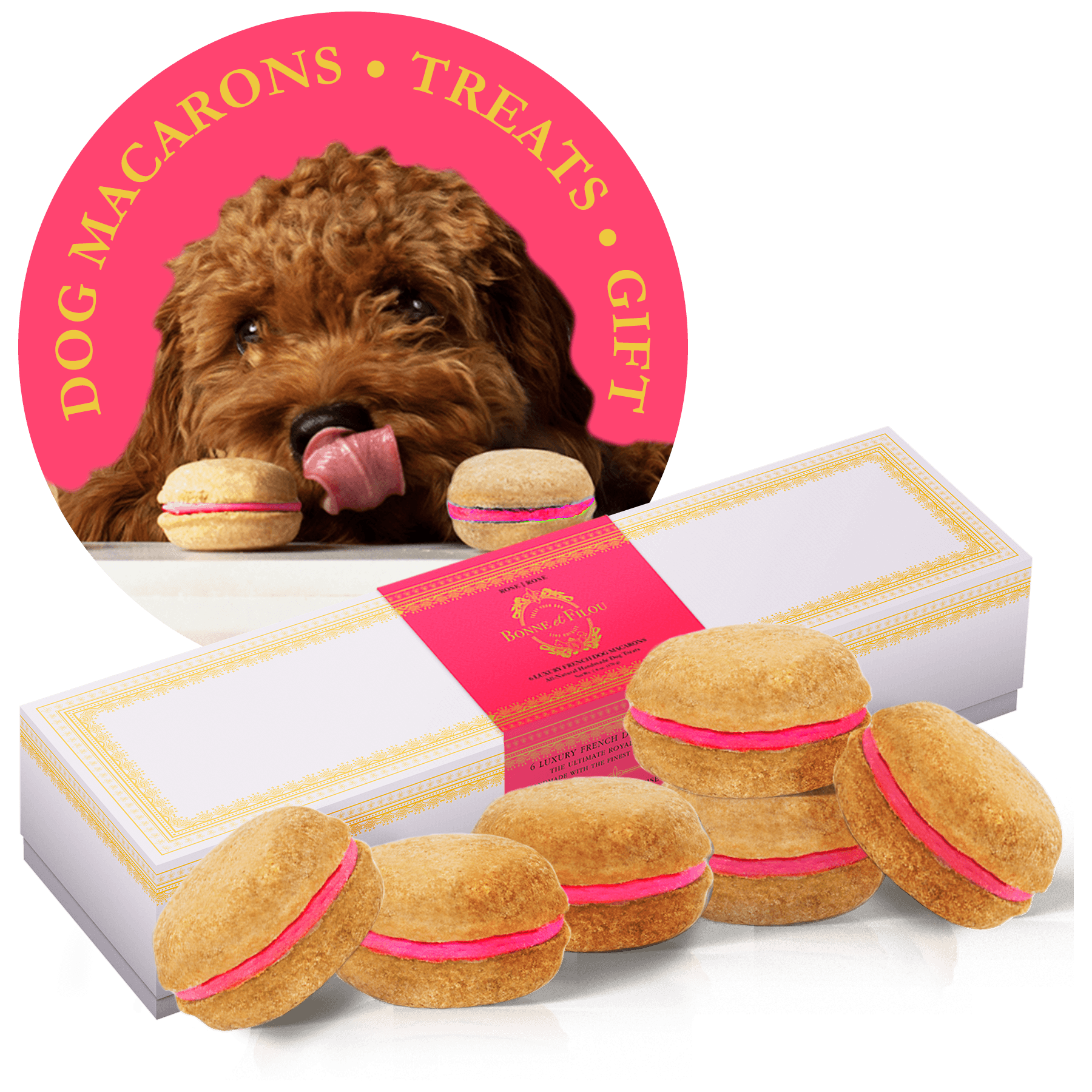Rose Dog Macarons - Rocky & Maggie's Pet Boutique and Salon