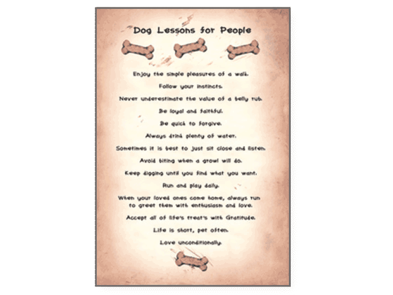 Dog Lessons Blank Card - Rocky & Maggie's Pet Boutique and Salon