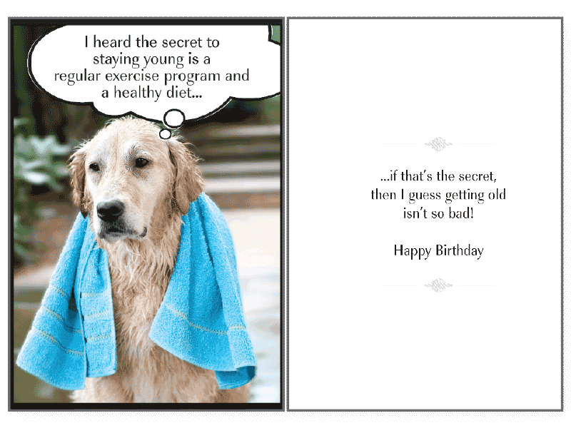 Secret To Staying Birthday Card - Rocky & Maggie's Pet Boutique and Salon