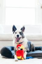 Fetching Flock Plush Toys - Rocky & Maggie's Pet Boutique and Salon