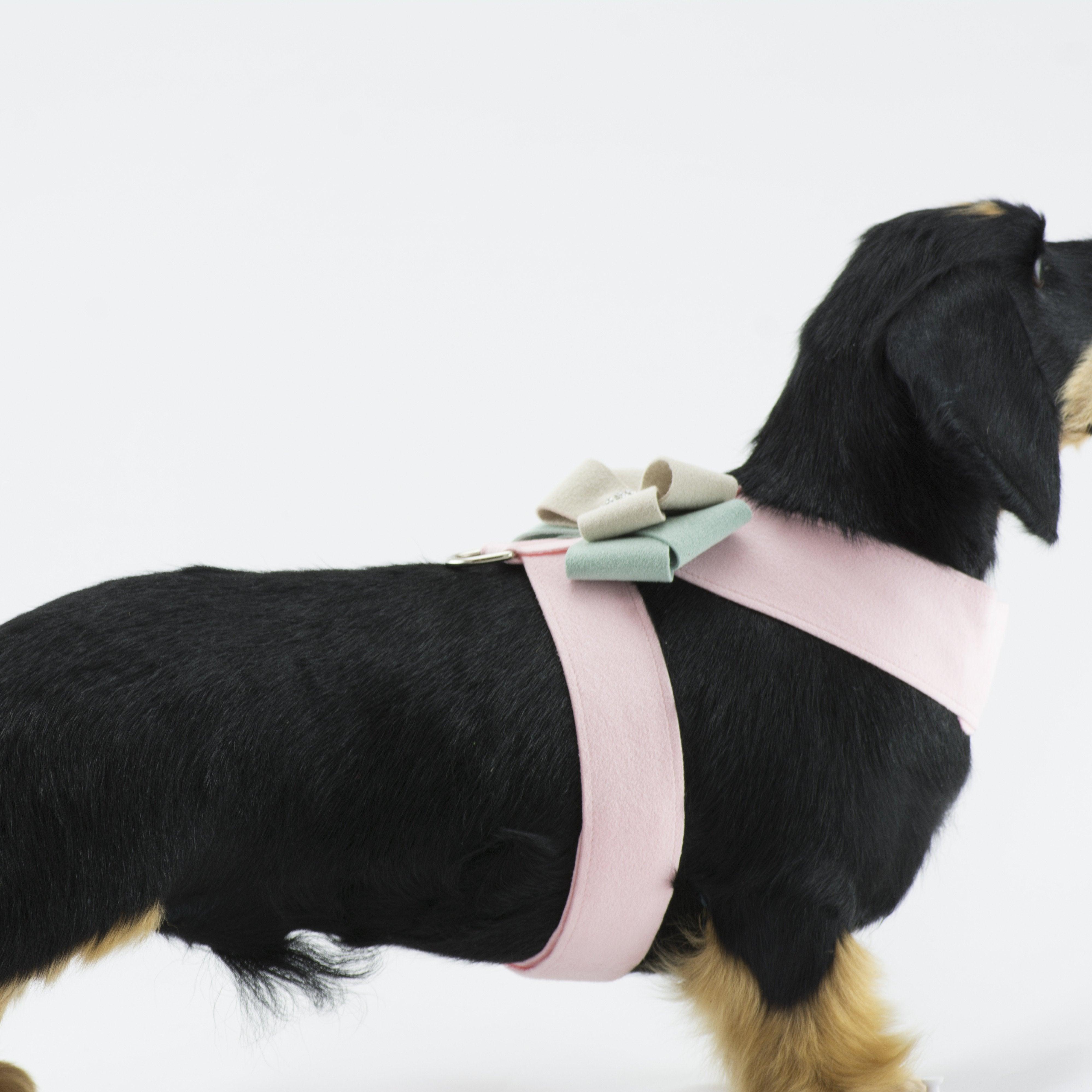 Hope Bow Tinkie Harness - Rocky & Maggie's Pet Boutique and Salon