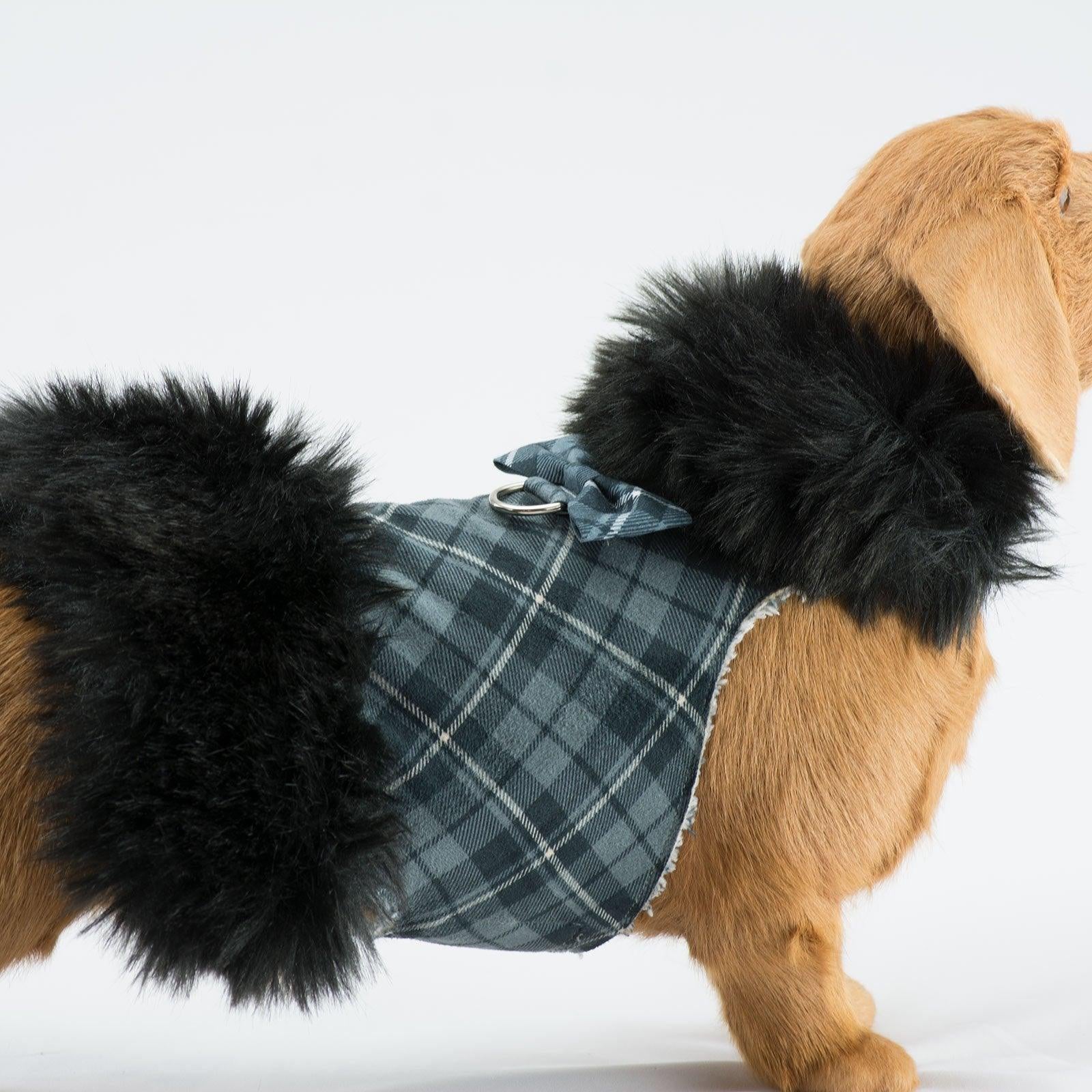 Scotty Black Fox Fur Coat - Rocky & Maggie's Pet Boutique and Salon
