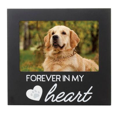Forever In My Heart Pet Memorial Frame - Rocky & Maggie's Pet Boutique and Salon