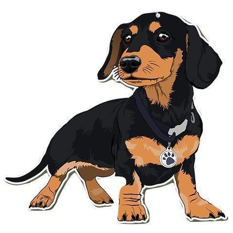Frankee The Lil Sausage | Sticker - Rocky & Maggie's Pet Boutique and Salon