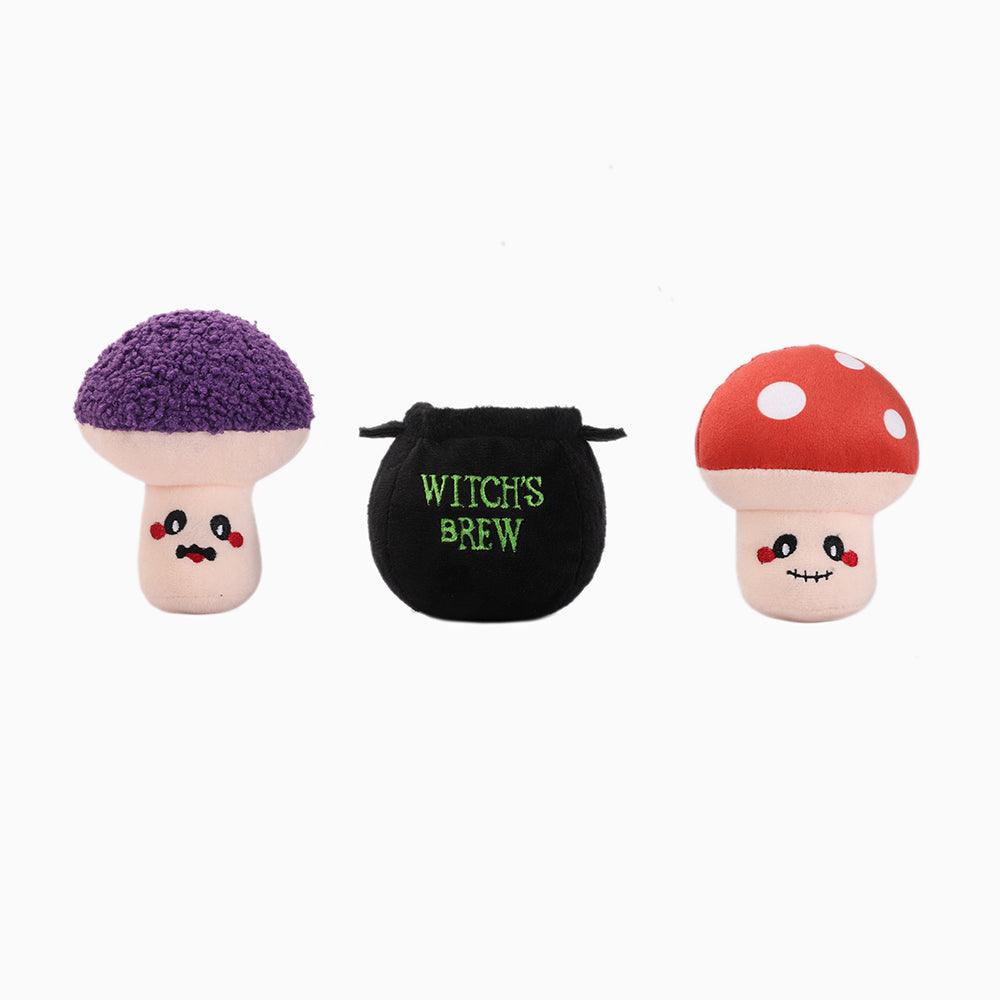 Witchy Dog — Witches Brew - Rocky & Maggie's Pet Boutique and Salon