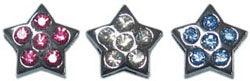 Jewel Star Charm for Slider Collar - Rocky & Maggie's Pet Boutique and Salon
