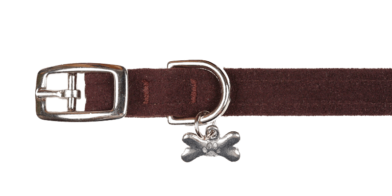 Chocolate Collar - Rocky & Maggie's Pet Boutique and Salon