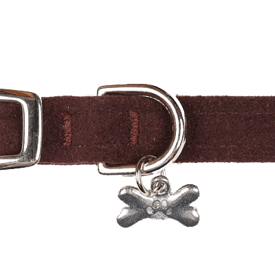 Chocolate Collar - Rocky & Maggie's Pet Boutique and Salon