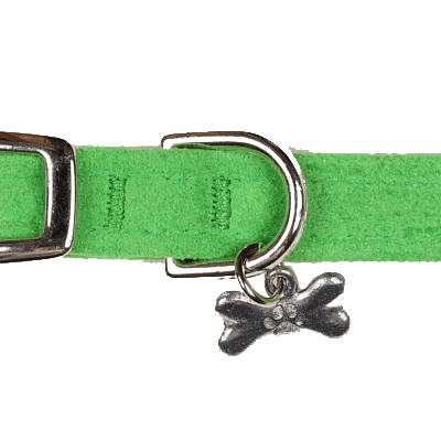 Green Collar - Rocky & Maggie's Pet Boutique and Salon