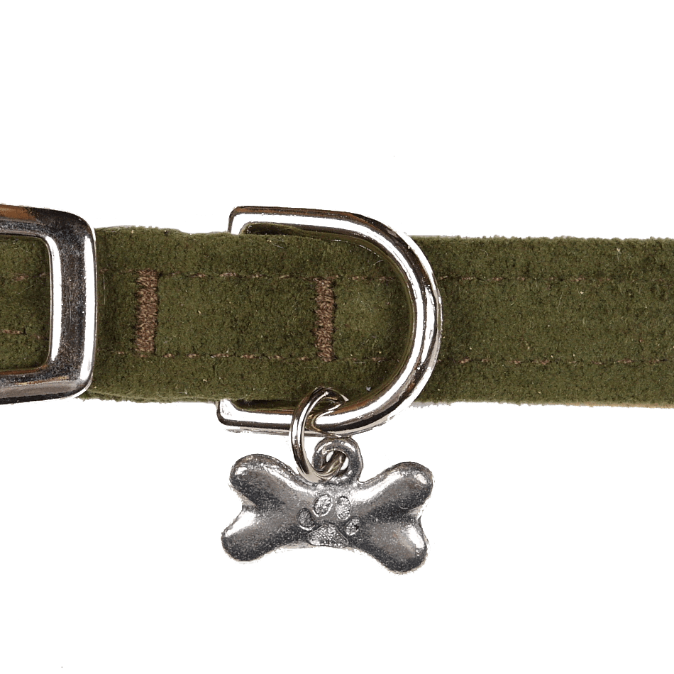 Olive Collar - Rocky & Maggie's Pet Boutique and Salon