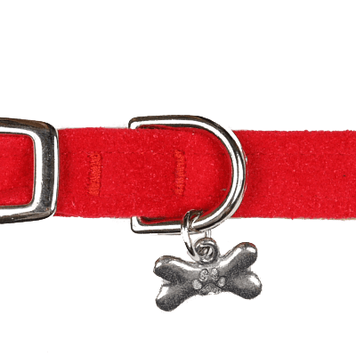 Red Collar - Rocky & Maggie's Pet Boutique and Salon
