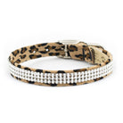 Cheetah Couture Giltmore Collar - Rocky & Maggie's Pet Boutique and Salon