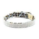 Cheetah Couture Giltmore Collar - Rocky & Maggie's Pet Boutique and Salon