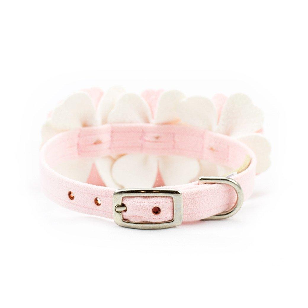 Special Occasion Collar - Rocky & Maggie's Pet Boutique and Salon