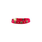 Embroidered Paws Collar - Rocky & Maggie's Pet Boutique and Salon