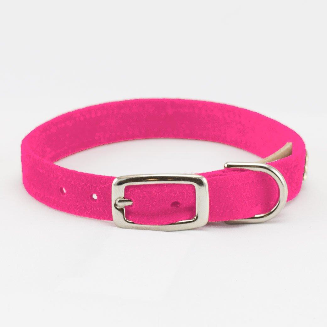 Pink Giltmore Collar - Rocky & Maggie's Pet Boutique and Salon