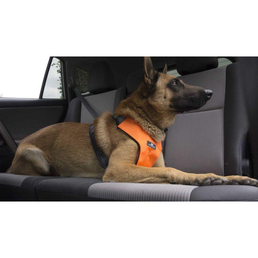 Clickit Sport Harness (Includes harness, S-clip and Buckle Shield) - Rocky & Maggie's Pet Boutique and Salon