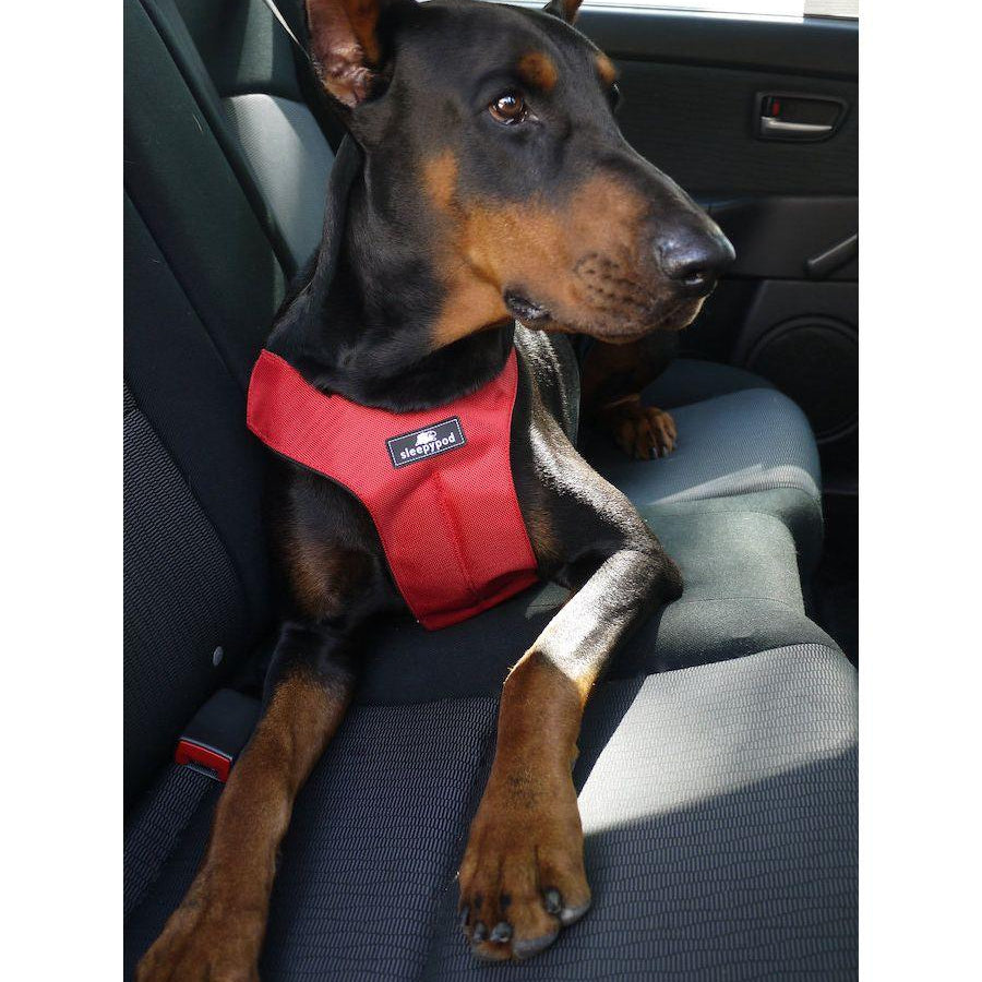 Clickit Sport Harness (Includes harness, S-clip and Buckle Shield) - Rocky & Maggie's Pet Boutique and Salon