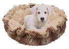 Cuddle Pod - Natural Beauty and Simba - Rocky & Maggie's Pet Boutique and Salon