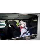 Clickit Terrain Harness (Includes harness, S-clip and Buckle Shield) - Rocky & Maggie's Pet Boutique and Salon