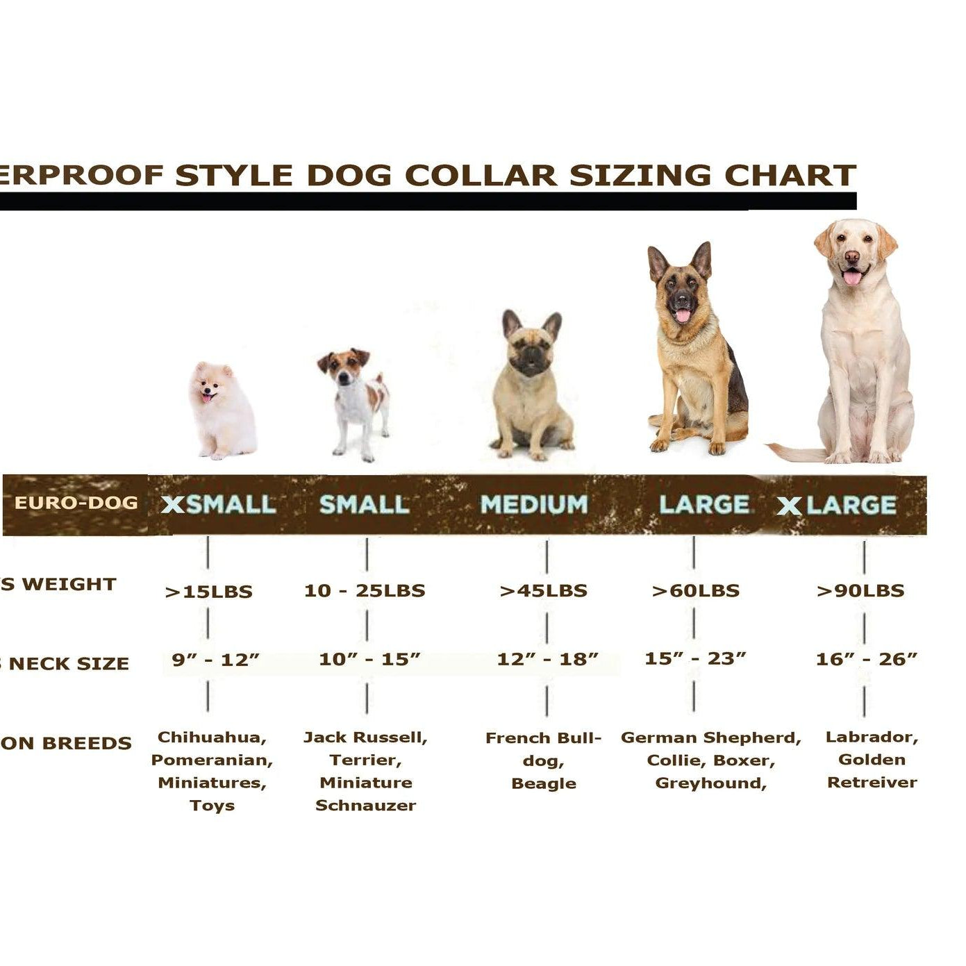 Euro Dog Waterproof Dog Collar/Lead - Rocky & Maggie's Pet Boutique and Salon