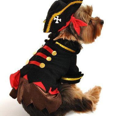 Pirate Captain Costume - Rocky & Maggie's Pet Boutique and Salon