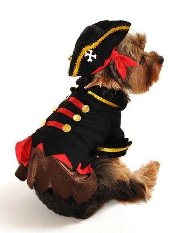 Pirate Captain Costume - Rocky & Maggie's Pet Boutique and Salon