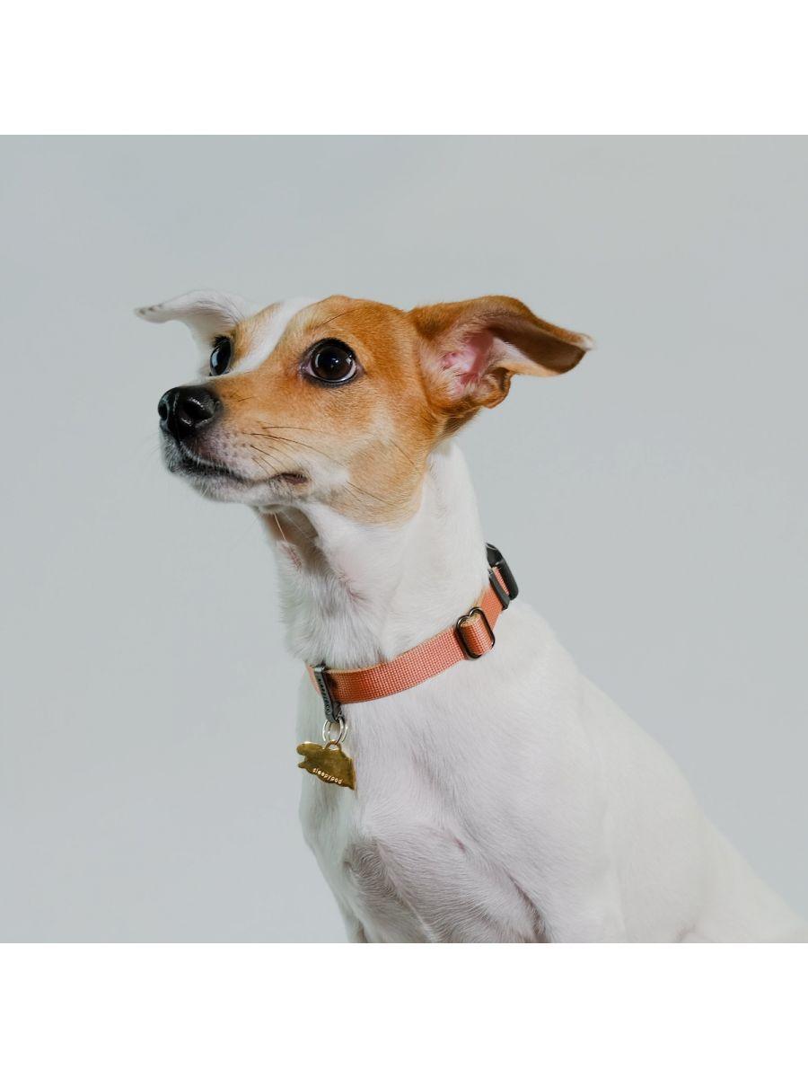 St. Louis Blues Collar Adjustable Dog Collar Martingale 