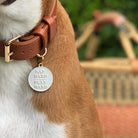 Nap Hard Play Hard Pet ID Tag - Rocky & Maggie's Pet Boutique and Salon