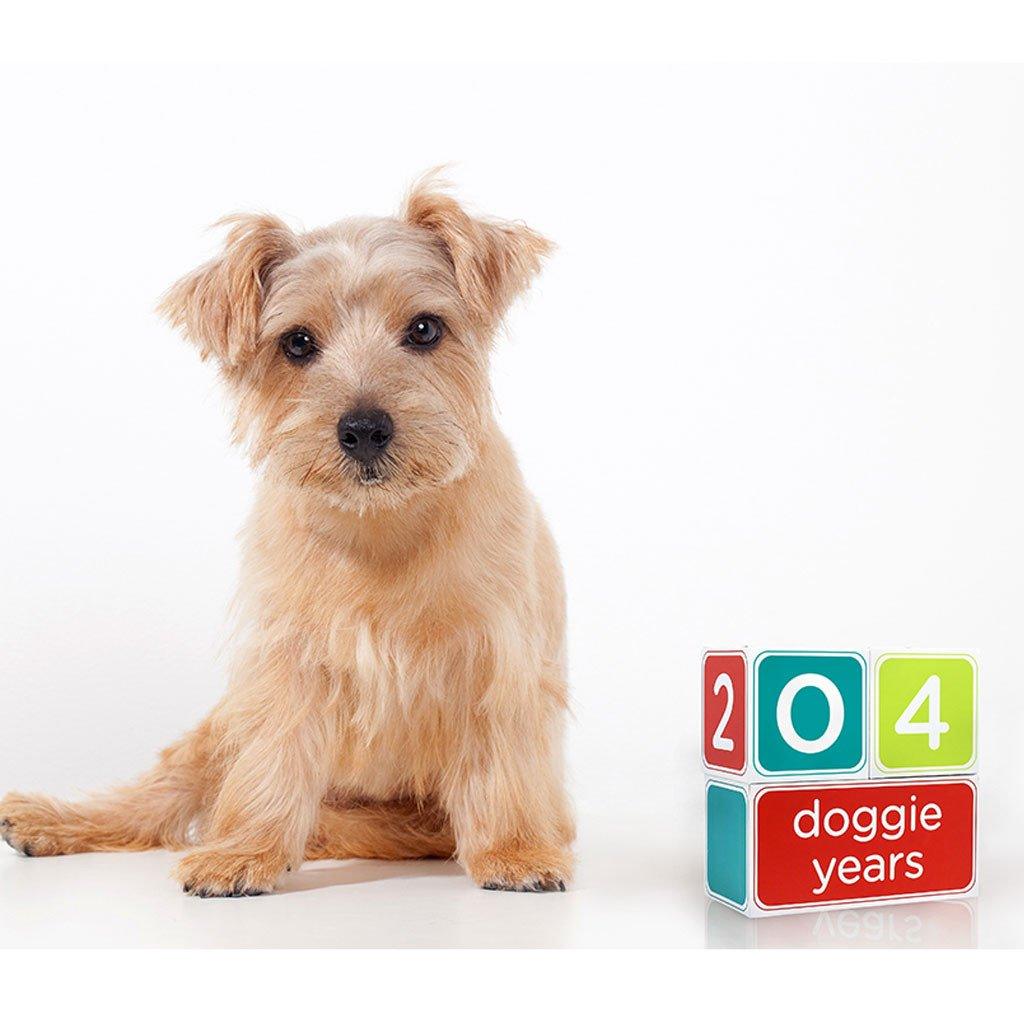 Puppy Age Blocks for Photos - Rocky & Maggie's Pet Boutique and Salon