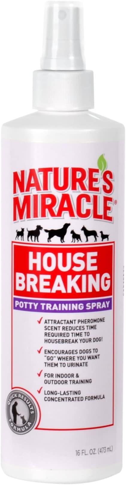 Go Here Housebreaking Spray 8oz - Rocky & Maggie's Pet Boutique and Salon
