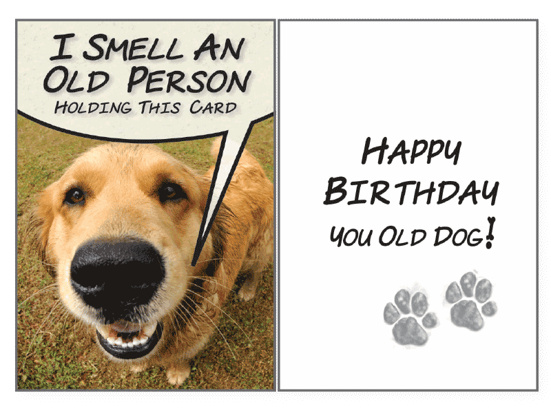 I Smell An Old Birthday Card - Rocky & Maggie's Pet Boutique and Salon