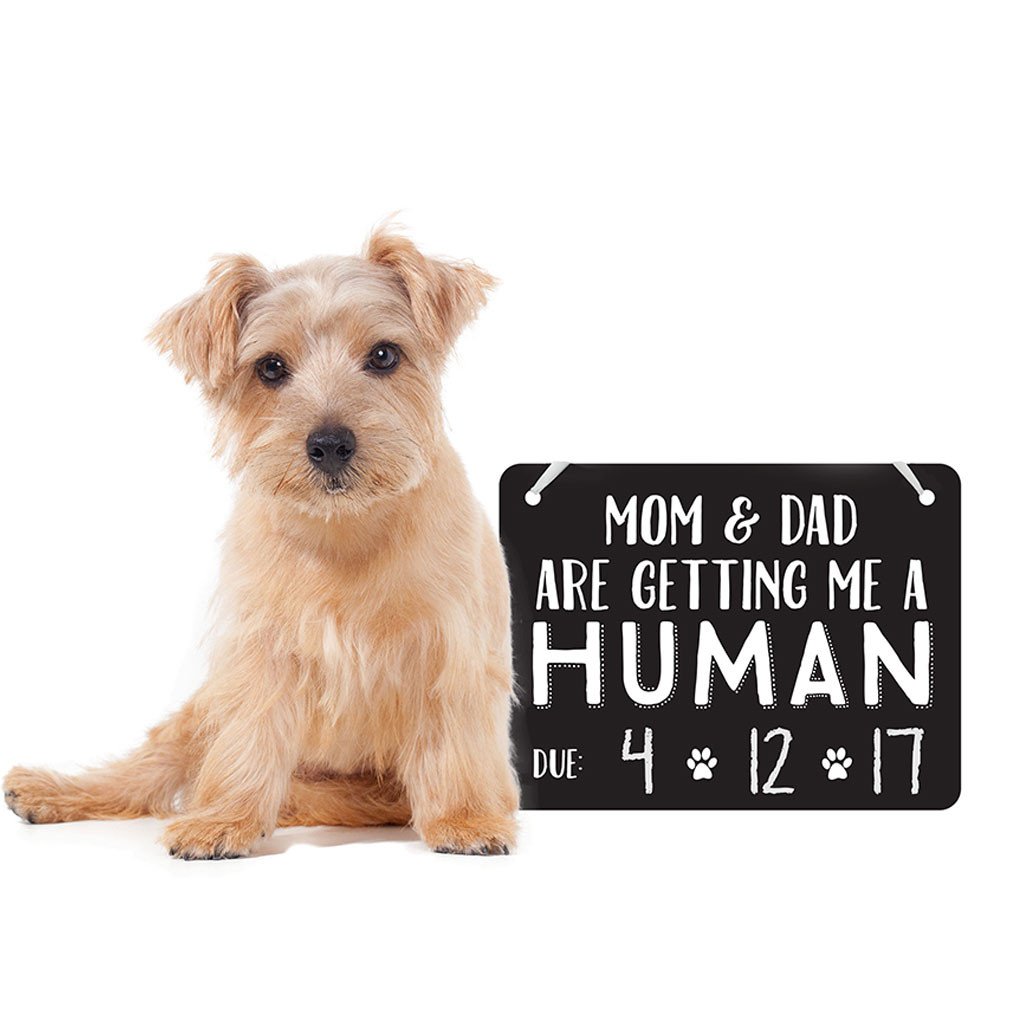 Baby Announcement Chalkboard Photo Prop Sign - Rocky & Maggie's Pet Boutique and Salon