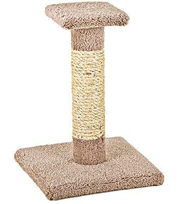 Kitty Cactus/Sisal Scratcher - Rocky & Maggie's Pet Boutique and Salon