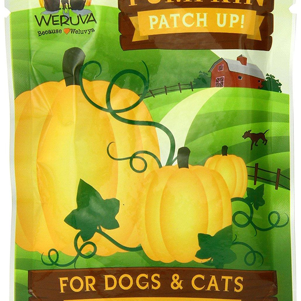 Pumpkin Patch Up! for Dogs and Cats - Rocky & Maggie's Pet Boutique and Salon