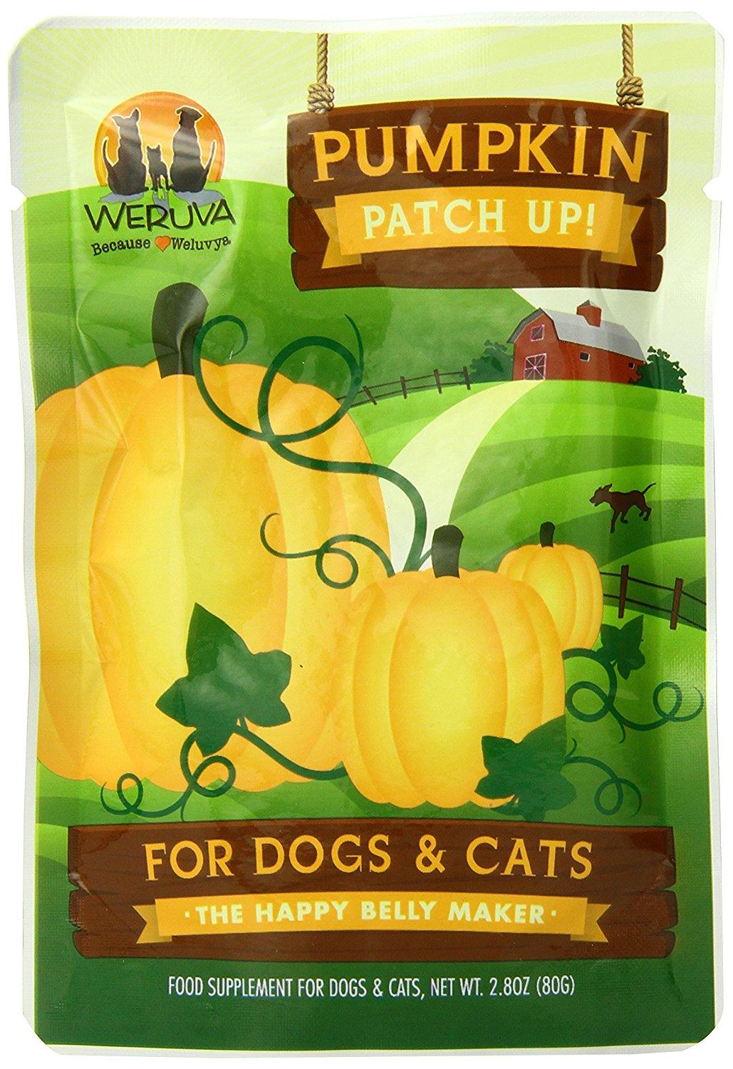 Pumpkin Patch Up! for Dogs and Cats - Rocky & Maggie's Pet Boutique and Salon