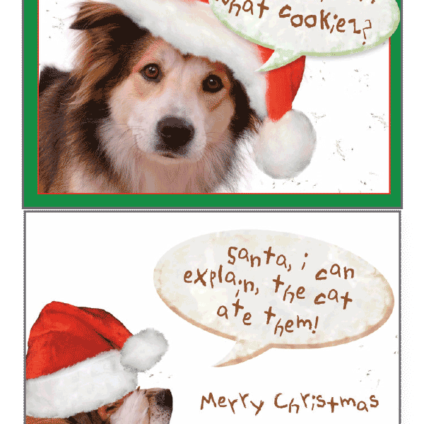 Santa I Can Explain Greeting Card - Rocky & Maggie's Pet Boutique and Salon