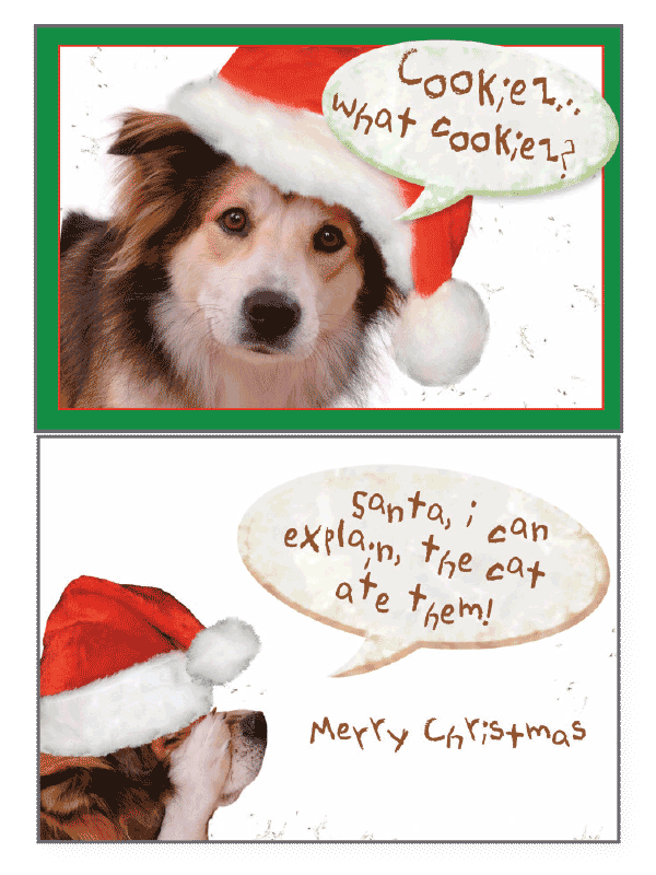 Santa I Can Explain Greeting Card - Rocky & Maggie's Pet Boutique and Salon