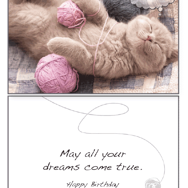 Cat Yarn Balls Birthday Card - Rocky & Maggie's Pet Boutique and Salon