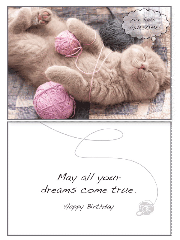 Cat Yarn Balls Birthday Card - Rocky & Maggie's Pet Boutique and Salon