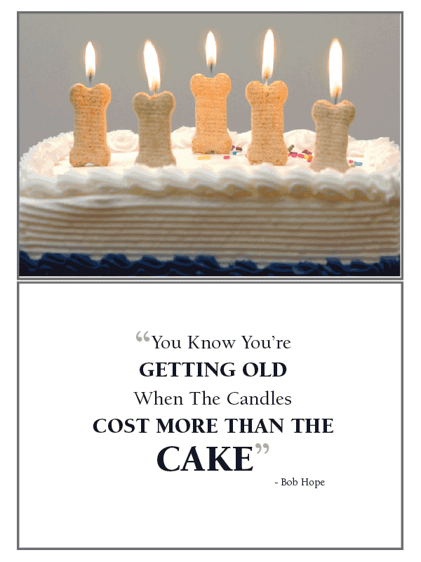 You Know Your Old Birthday Card - Rocky & Maggie's Pet Boutique and Salon