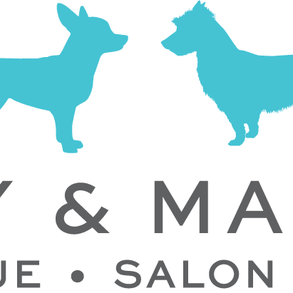 Maggie and shop rocky dog store