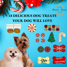 Christmas Dog Treats Gift Box - Rocky & Maggie's Pet Boutique and Salon