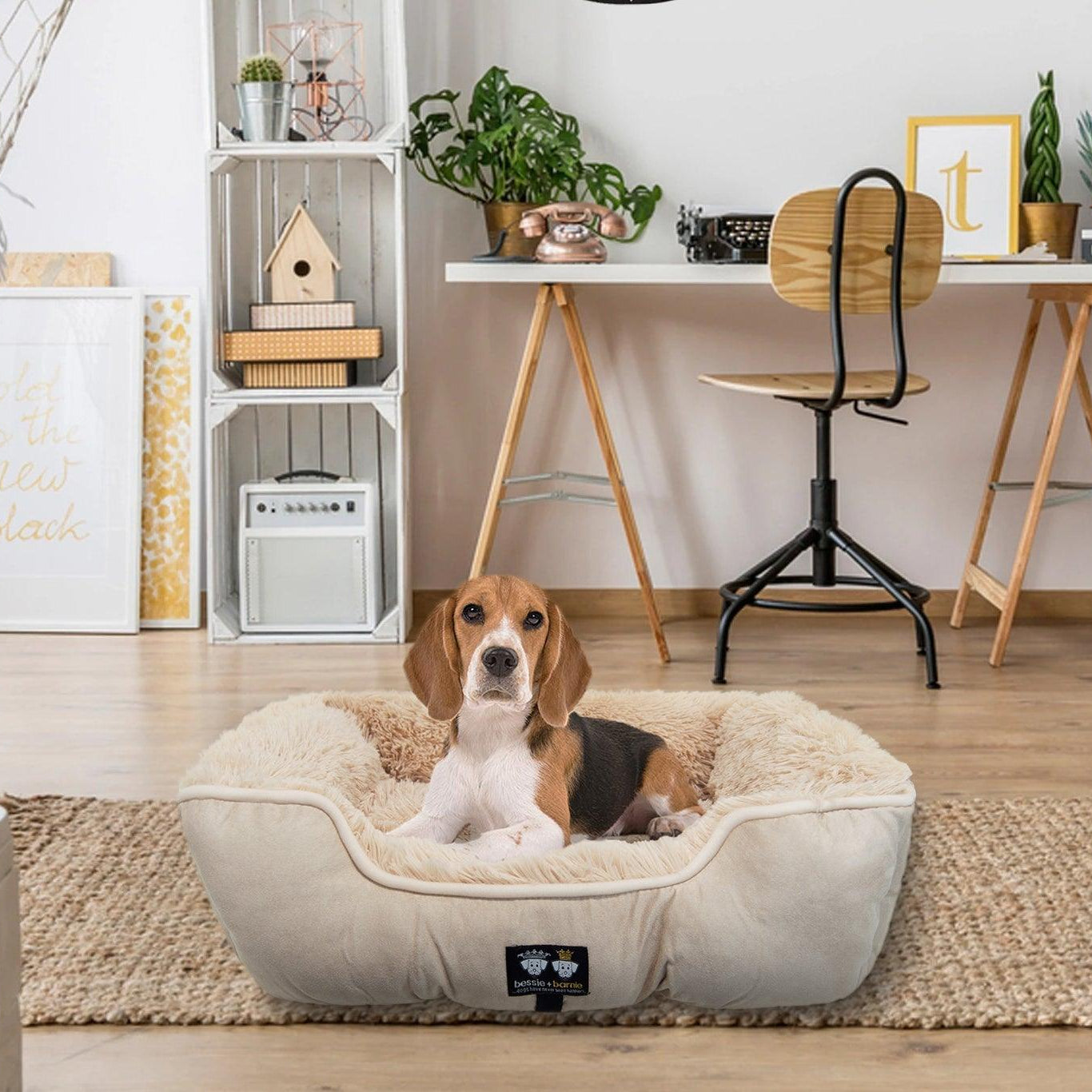 Bolster Bed - Beige - Rocky & Maggie's Pet Boutique and Salon