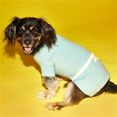 Bow Sweater - Rocky & Maggie's Pet Boutique and Salon