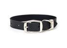 Celtic Style Buckle Leather Collar - Rocky & Maggie's Pet Boutique and Salon